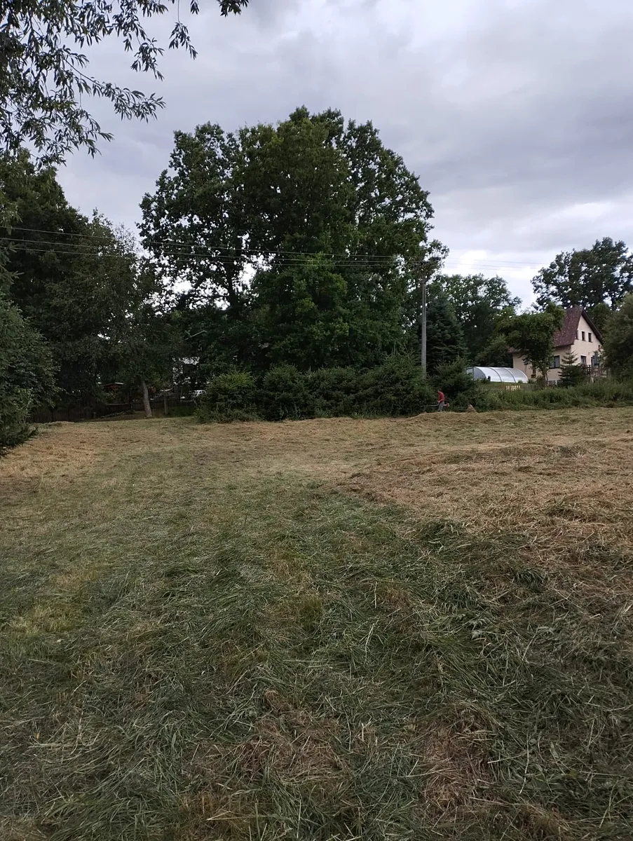 Pronájem louky 3000 m²